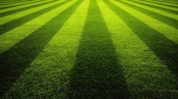 The Beautifully Patterned Green Lawn Under Bright Sunlight photo