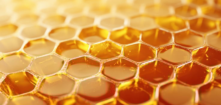 The intricate design of honeycomb filled with golden, sweet honey. photo