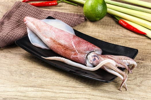 A squid on a plate with a knife and a knife photo