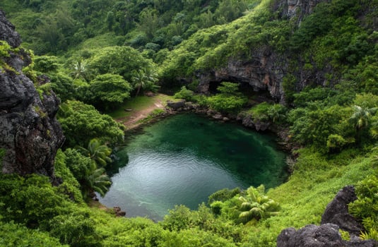 A small pool surrounded by lush green vegetation photo