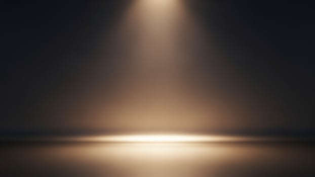 A spotlight shines on a dark room photo