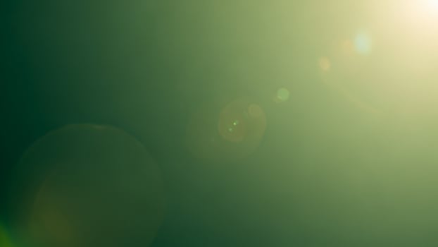 A green background with a sun shining through photo