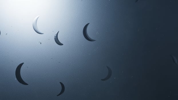 A bunch of rain drops on a window photo