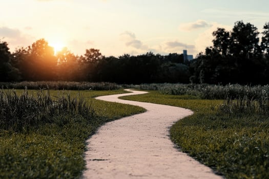 Winding path through green grass with warm sunrise glowing behind trees photo