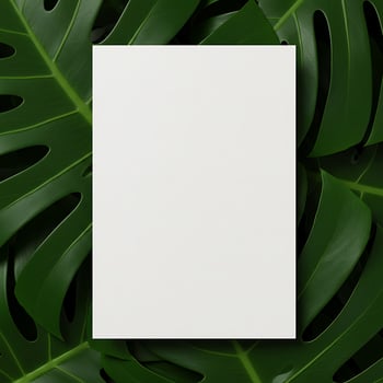 A blank sheet of paper on a tropical leaf photo