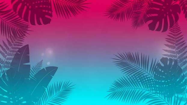 Tropical palm leaves on a pink and blue background photo