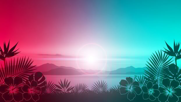 Tropical sunset background with palm leaves and flowers photo