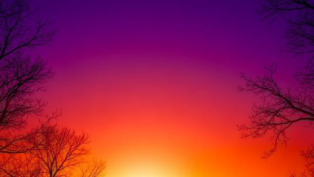 A sunset with trees and a purple sky photo