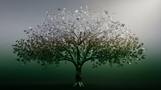 A tree with leaves on it in the fog photo