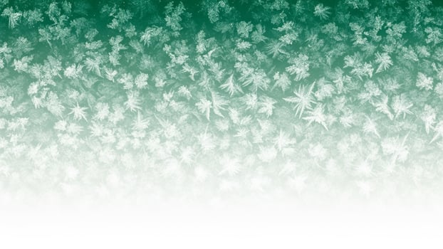 A green and white background with a lot of leaves photo