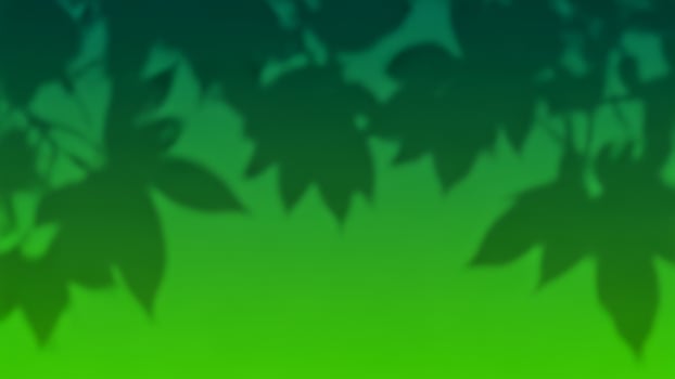 A green and blue background with leaves on it photo