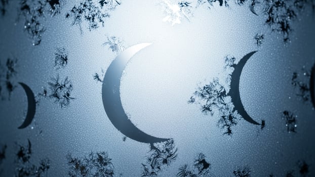 A crescent moon is shown in the sky with snowflakes photo