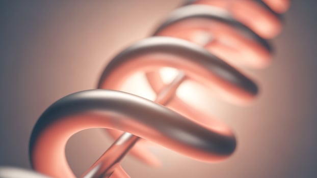 A close up of a spiral shaped object photo