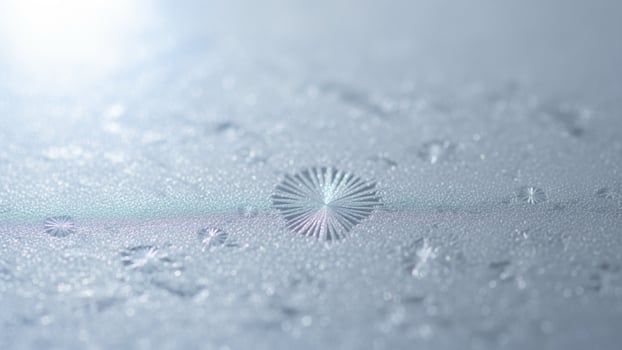 A close up of a flower on a glass surface photo