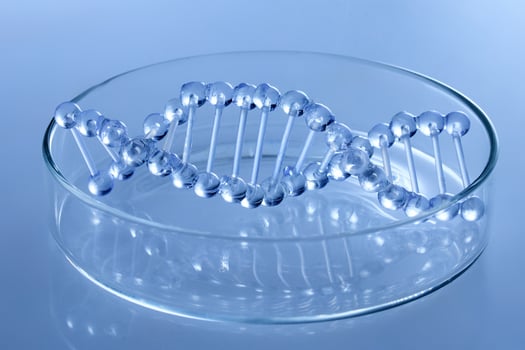 Abstract cosmetic laboratory. Chemical laboratory research. Cosmetic Essence. DNA Model in Petri Dish. photo