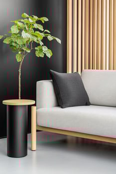 Modern interior with sofa plant and side table for home decor style and relaxation photo