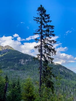 Landscape in the foothills of the Tatras. Mountain peaks against blue sky and clouds photo