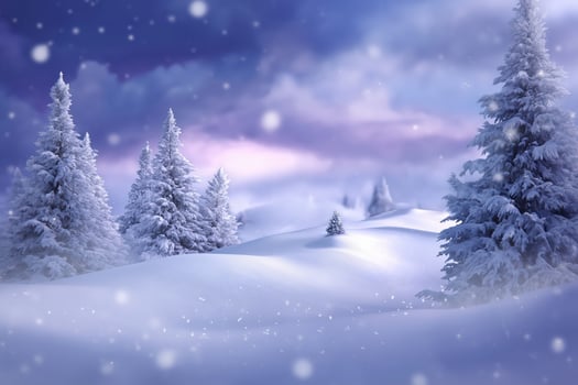Snow covered pine trees in a winter landscape with falling snow nature photo