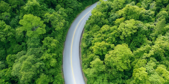 Road through green forest from above perspective photo