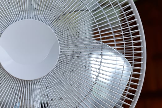 Dust on the fan blades, clean the fan. photo