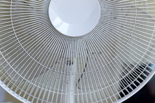 Dust on the fan blades a clean the fan photo