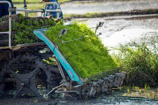 Professional local Asian farmer and agriculture vehicle machine transplant rice seediing in a paddy field in the open sky day.21 photo