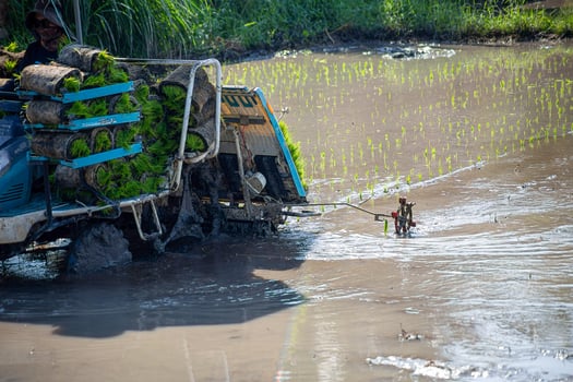 Professional local Asian farmer and agriculture vehicle machine transplant rice seediing in a paddy field in the open sky day.9 photo