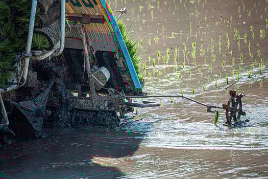 Professional local Asian farmer and agriculture vehicle machine transplant rice seediing in a paddy field in the open sky day.31 photo