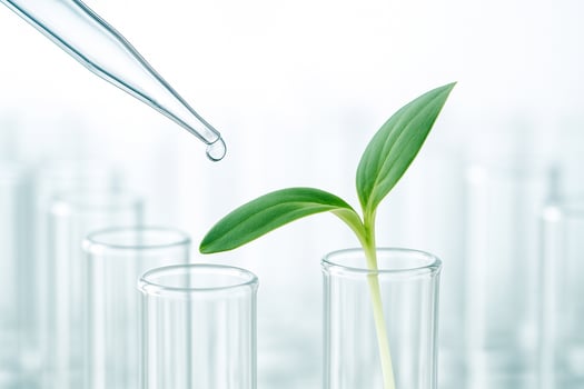 green seedling in transparent test tube receiving liquid drop from pipette representing biotechnology precision purity growth and scientific innovation in clean lab environment photo