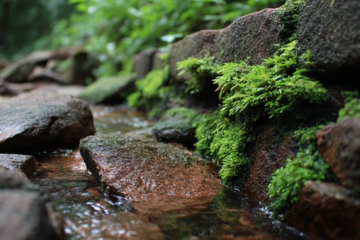 A stream of water running through a rocky area photo