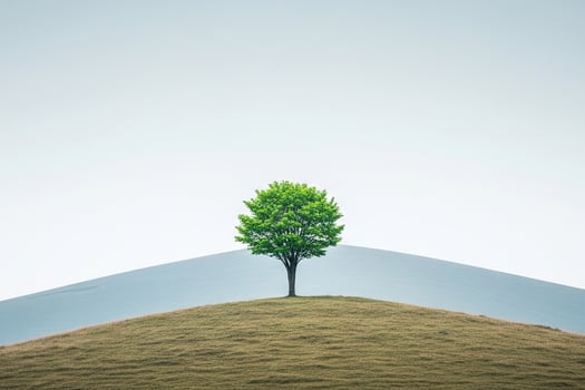 Solitary Green Tree Atop a Serene, Curved Hill in a Minimalist Landscape photo