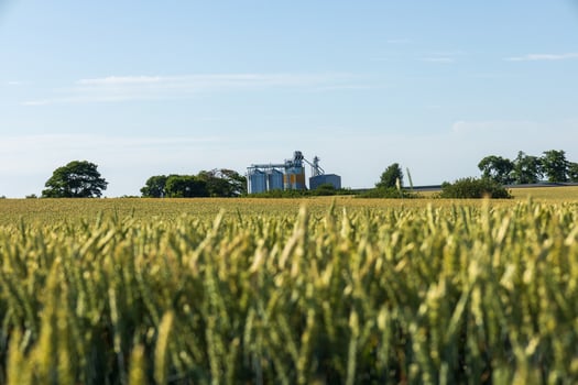 Golden grain fields stretch towards the horizon, with silos visible in the distance, indicating a thriving agricultural area photo
