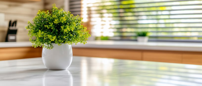 Artificial plant in white pot on marble countertop in bright kitchen home decor photo