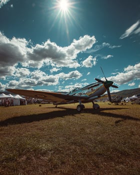 Preserved military plane sitting on grassy knoll under bright sunny sky illustrating history of flight and national defense heritage photo