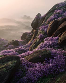 Stunning purple orchids blooming across rugged cliff face in early dawn light with soft mist and delicate floral details photo