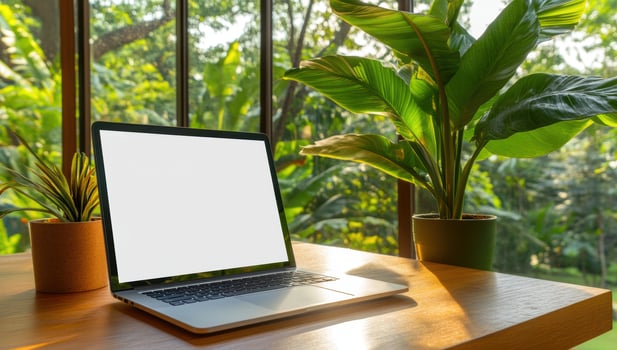 Laptop on desk with plants and natural light work environment photo