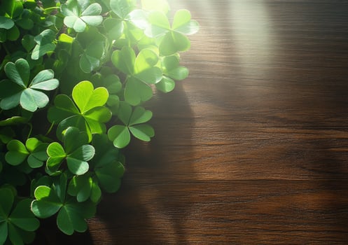 Clover plant on dark wood background with sunlight and empty space photo