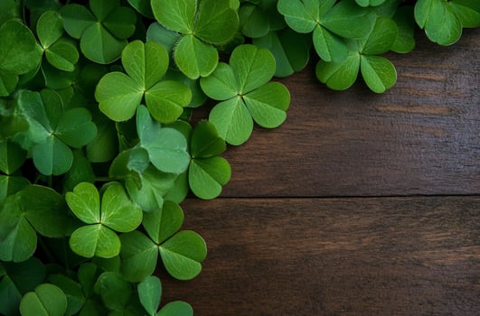 Fresh clover leaves on wooden background for copy space photo
