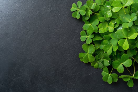 Green clover leaves on dark stone background with copy space natural texture photo