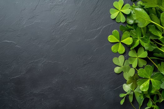 Green clover plant on dark stone background with copy space photo