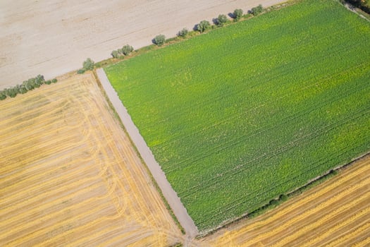 Patchwork of farm fields creating a natural pattern and texture. photo