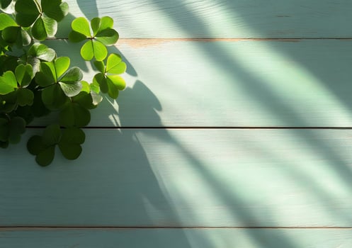 Shamrock leaves on light blue wood with soft shadows background texture photo