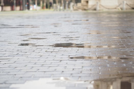 Wet cobblestones reflect a cloudy sky after rain photo