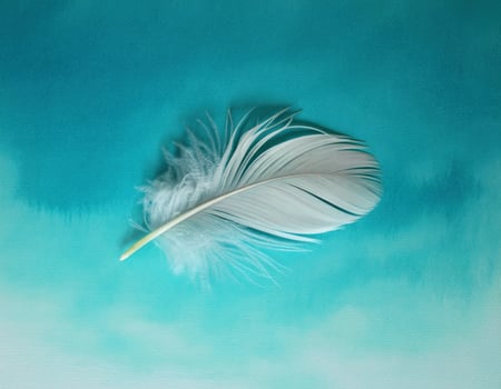 Delicate white feather rests on a soft teal and blue gradient background photo