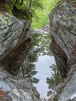 Wet Rocks and Green Trees Reflected in a Forest Pool. photo