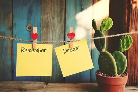 Remember your dreams with a cactus companion on a rustic background photo
