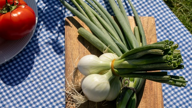 Spring onions emit a rustic charm on gingham, perfect for quirky harvest festivals or niche vegetarian celebrations photo