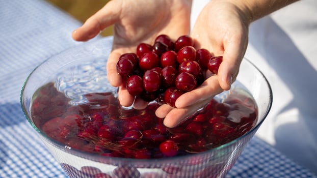 Bright crimson cherries submerged in shimmering water cradle rustic nostalgia, evoking Lammas harvest celebration and cherry pit spitting festival photo