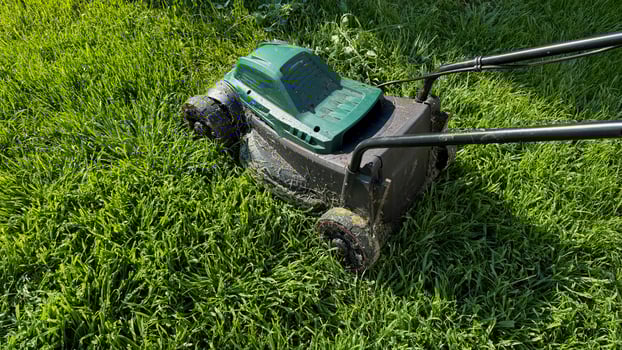 Verdant blades surrender to the rhythmic tango of electric mower, embodying Earth Day renewal and suburban zen gardens photo