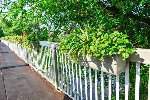 fllower planters in the park. Flower planters filled with vibrant plants line a white wooden fence along a garden path, surrounded by lush foliage under a clear blue sky on a sunny day photo